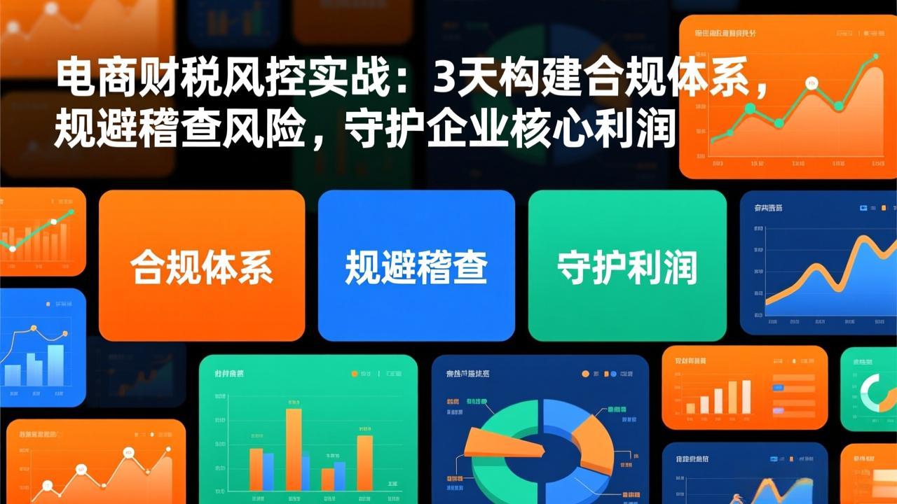 电商财税风控实战：3天构建合规体系，规避稽查风险，守护企业核心利润-智库云网创